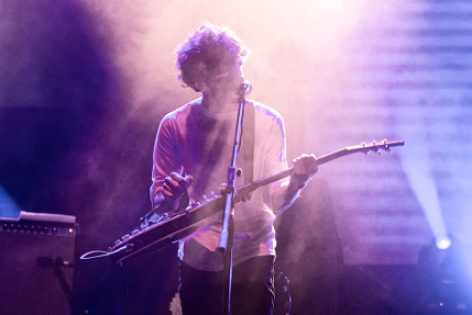 the wombats